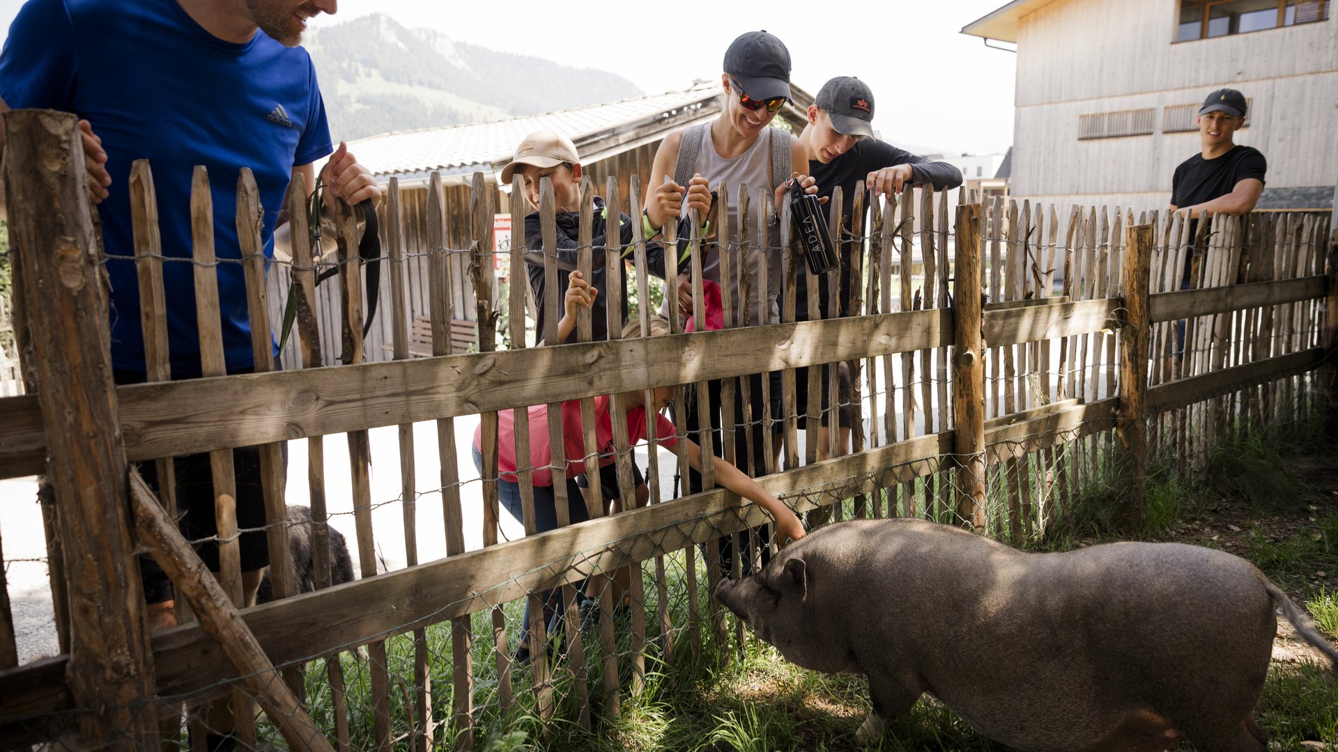 Familie steht vor einem Zaun, dahinter ein Schwein, dass von der Tochter gestreichelt wird Familie steht vor einem Zaun, dahinter ein Schwein, dass von der Tochter gestreichelt wird