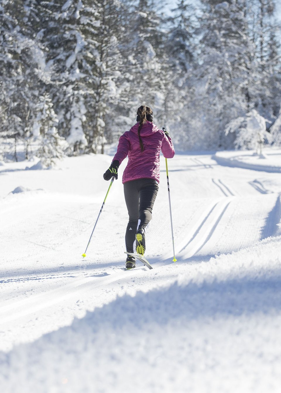 Frau beim Langlaufen in verschneiter Landschaft im Pillerseetal Frau beim Langlaufen in verschneiter Landschaft im Pillerseetal