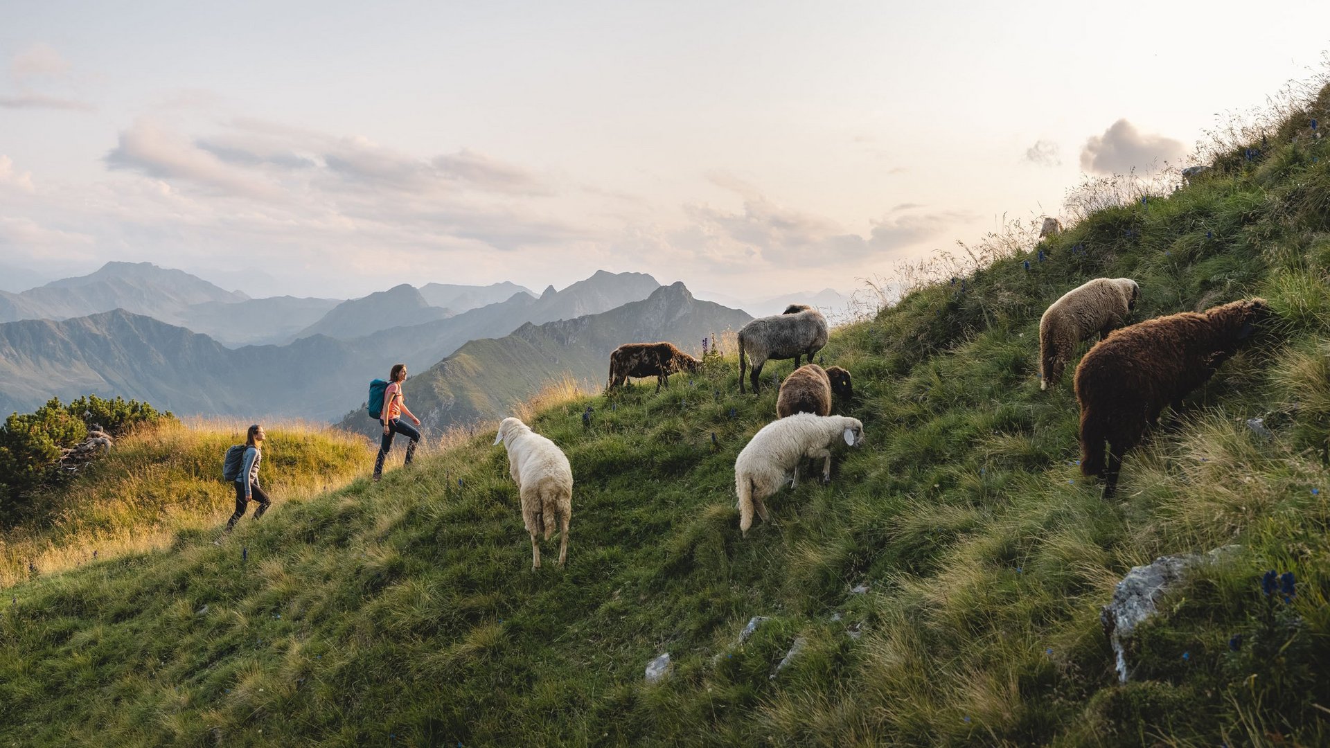 Paar wandert in den Kitzbüheler Alpen Paar wandert in den Kitzbüheler Alpen