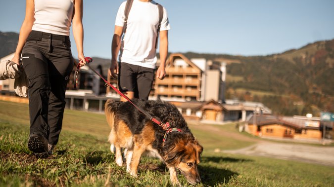 Paar geht mit Hund in Tirol wandern Paar geht mit Hund in Tirol wandern
