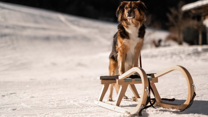 Winterwandern in Fieberbrunn – jetzt erleben! Winterwandern in Fieberbrunn – jetzt erleben!