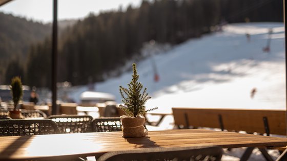 Hotel in Fieberbrunn: ADEA Lifestyle Suites Kleiner Baum auf Holztisch draußen mit verschneitem Berg und Wald im Hintergrund
